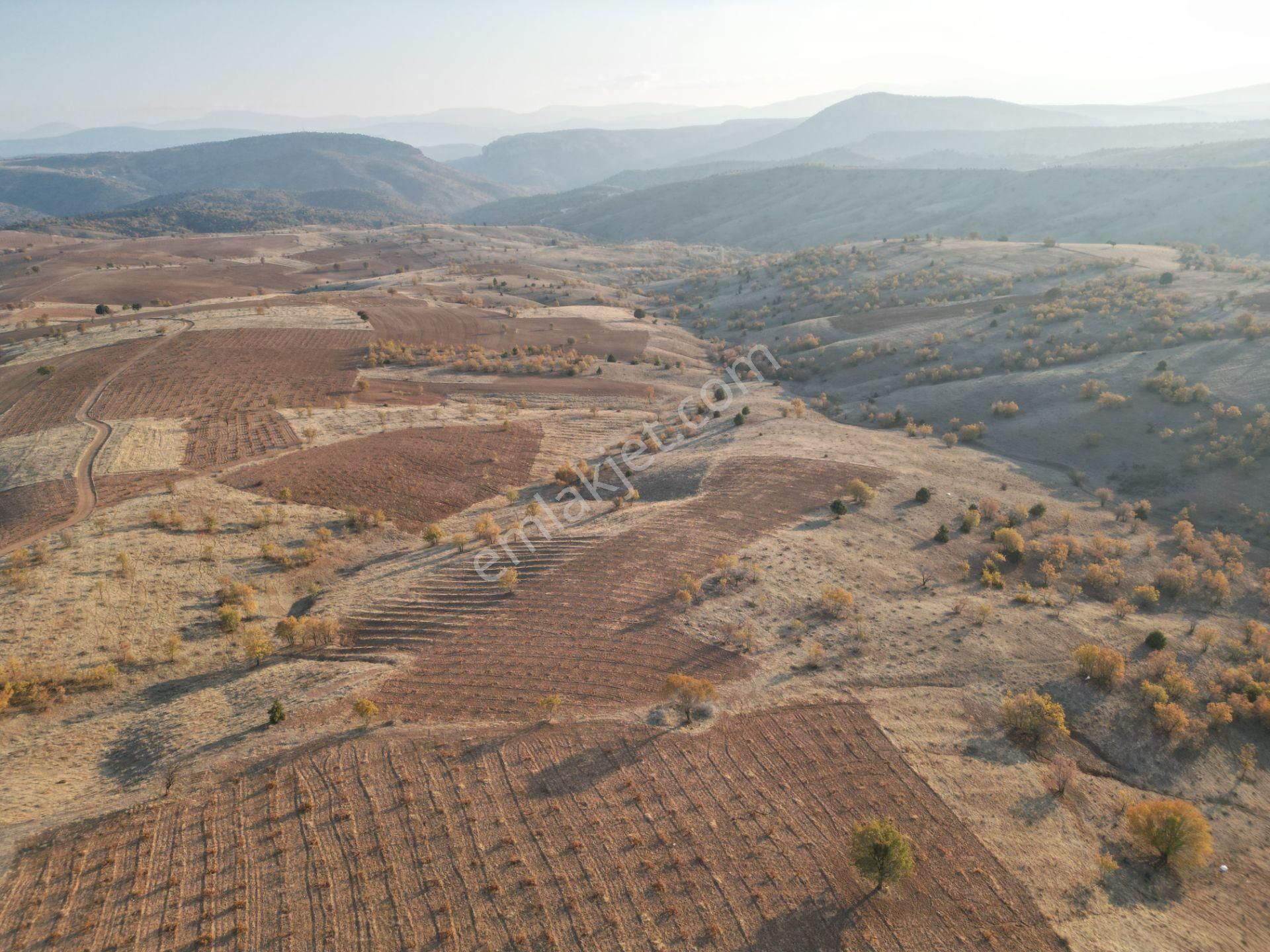 Karaman Merkez Muratdede Köyü Satılık Bağ & Bahçe  ARISOYDAN KARAMAN MERKEZ MURATDEDE 5000m² MÜSTAKİL BAĞ