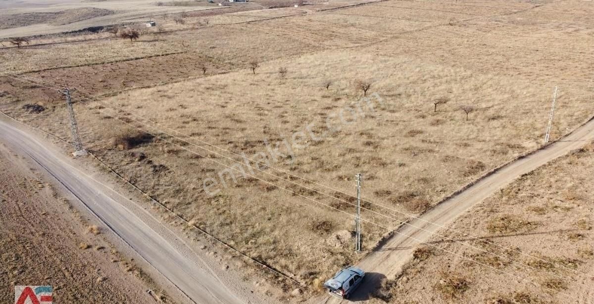 Develi Bahçelievler Satılık Bağ & Bahçe ANADOLU EMLAK-ÜNİVERSİTE ARKASI(GÜZELCE) SÜPER KÖŞE BAŞI BAĞ