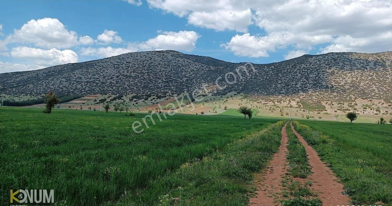 Tavas Garipköy Satılık Tarla TAVAS GARİPKÖY ACİL  SATILIK TARLA 6850 M2 SUYU YOLU VAR