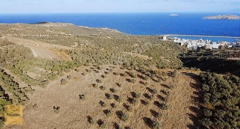 Erdek Çakıl Satılık Tarla Erdek Çakıl'da Satılık Tarla