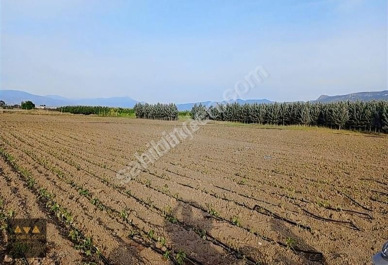 Pamukova Yenice Satılık Tarla SAKAR YA DA 18 DONUM EMSALSIZ YOLU VE SUYU OLAN EMSALSIZ TARLA