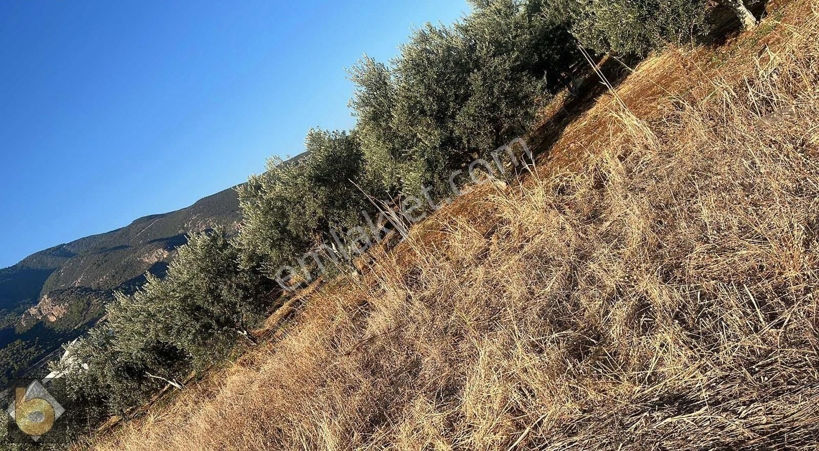 Fethiye Esenköy Satılık Tarla Esenköy'de satılık tarla