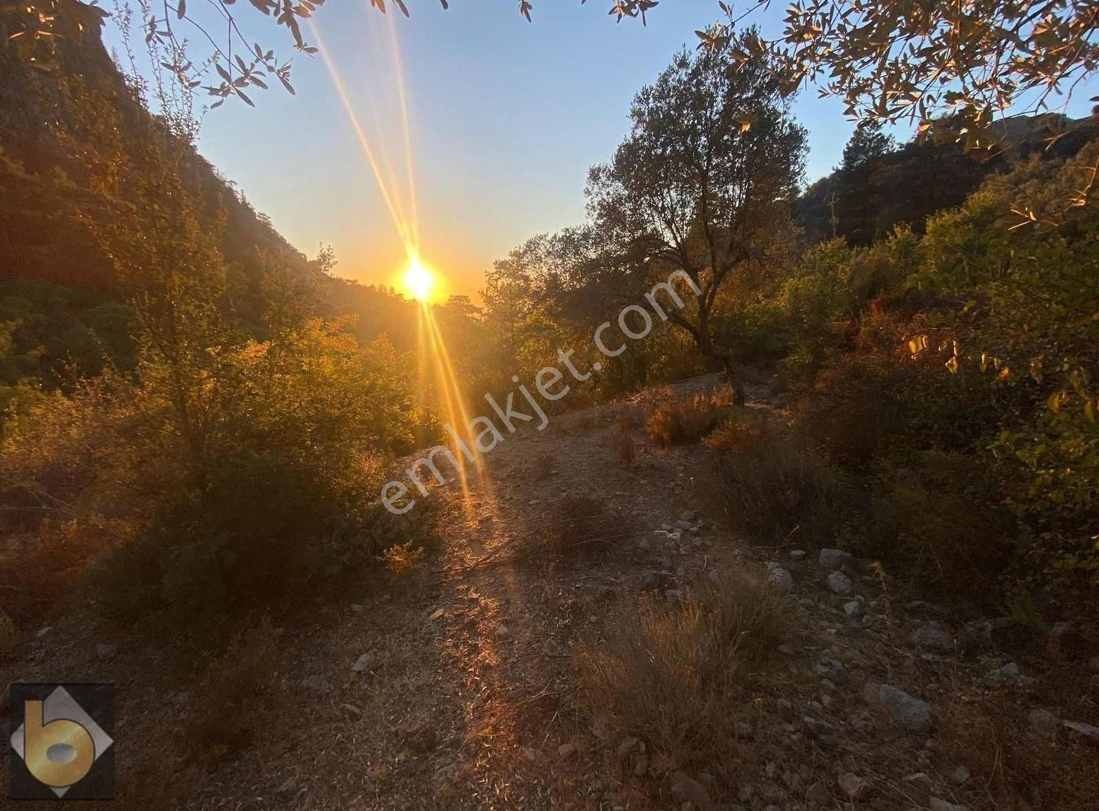 Fethiye Karaağaç Satılık Tarla Fethiye kirme de daha ucuzu yok