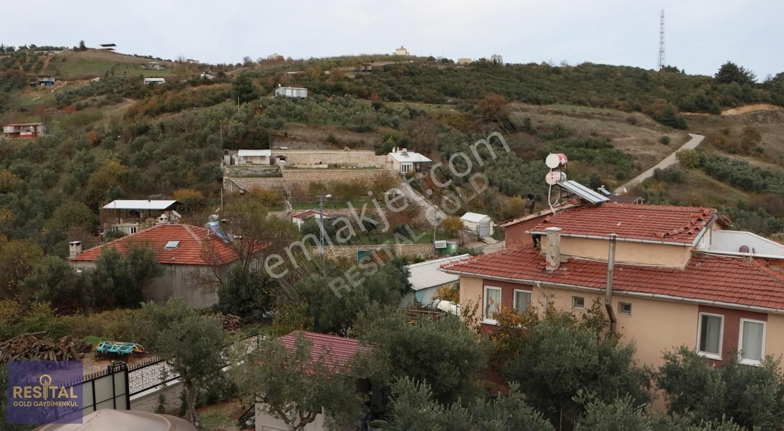 Mudanya İpekyayla Satılık Zeytinlik BURSA MUDANYA'DA MERKEZDE SATILIK ZEYTİNLİK