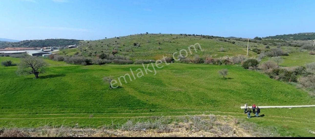 Aliağa Yenişakran Satılık Tarla MERAYA SIFIR TARLA İZMİR ALİAĞA ŞAKRAN