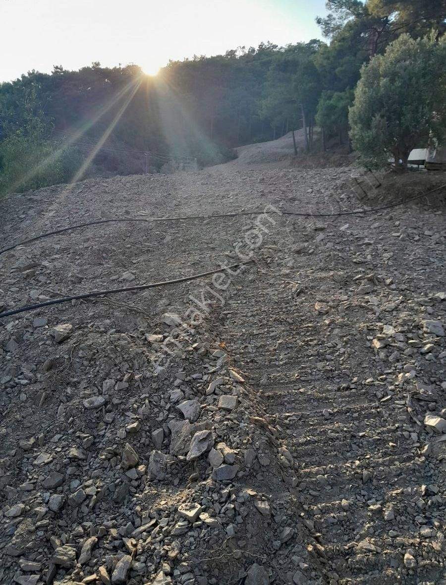 Anamur Çamlıpınaralanı Satılık Konut İmarlı Altun Emlaktan Satılık Denize Yakın Doğası Harika Bir Arazi