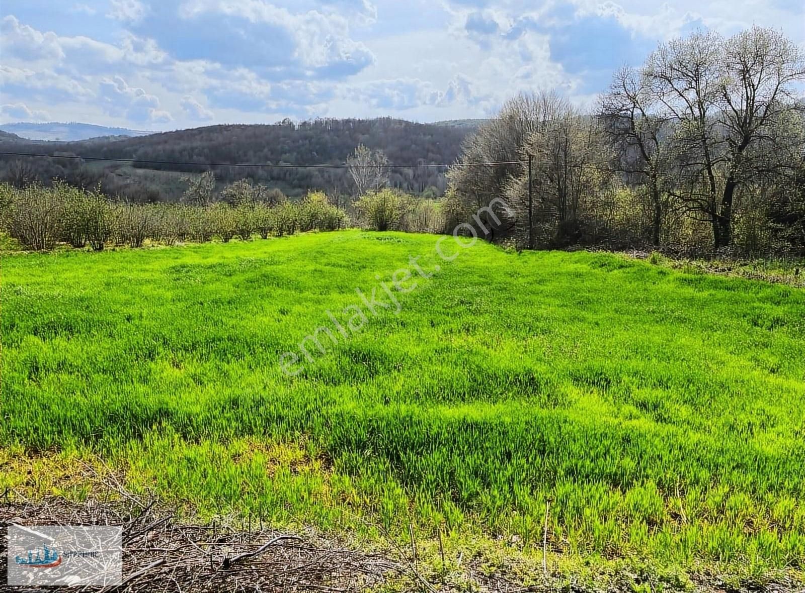 Kandıra Teksen Satılık Tarla KANDIRA TEKSENDE ASFALT ÜSTÜ KÖYE 100 MT 1880 M2 MÜSTAKİL PARSEL