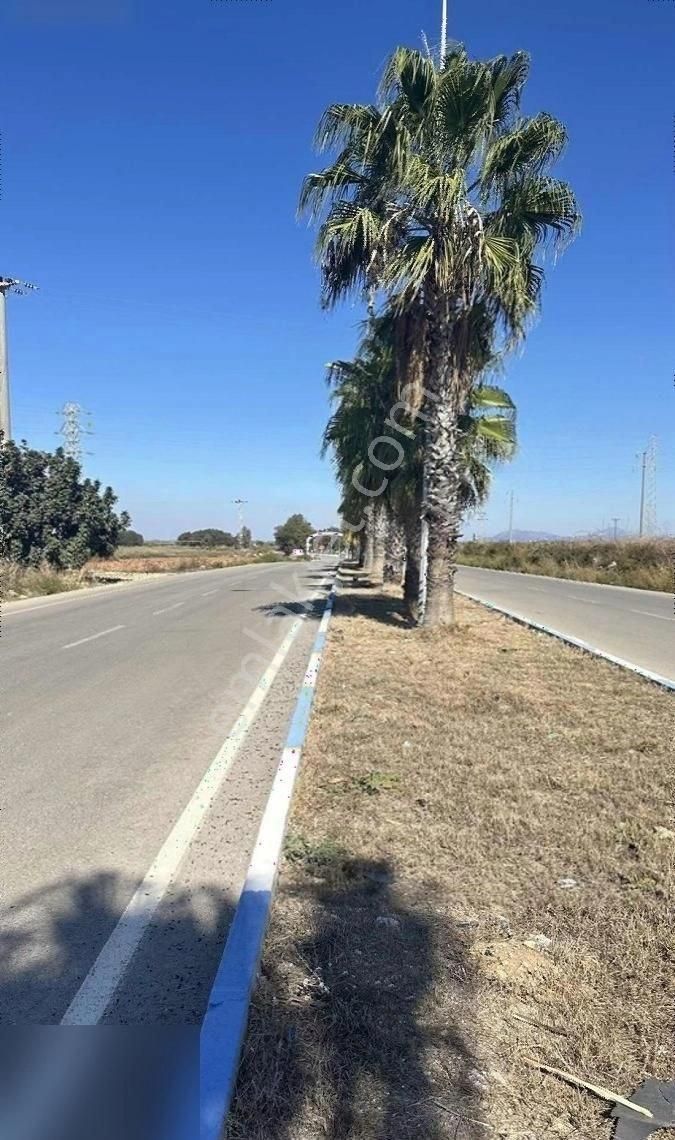 Karataş Kemaliye Satılık Depo, Antrepo İzinli KARATAŞ GAYRİMENKULDEN EMSALSİZ SANAYİ DEPOLAMA İMARLI ARSA