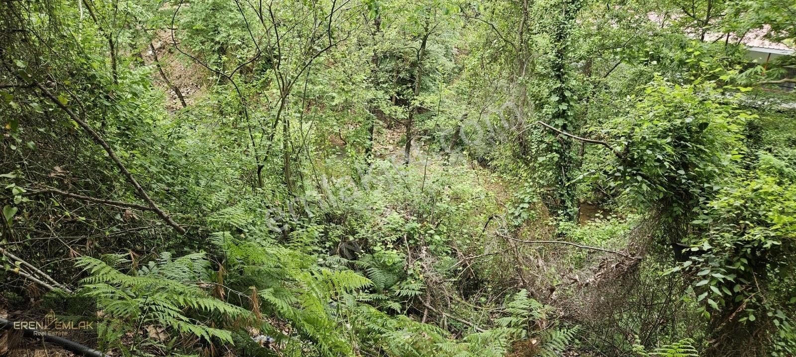 Eren Emlak'tan Oba Çay Kenarı Param Var Huzurum Yok Diyenlere... - Görsel 21