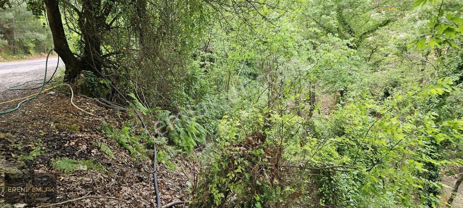 Eren Emlak'tan Oba Çay Kenarı Param Var Huzurum Yok Diyenlere... - Görsel 14