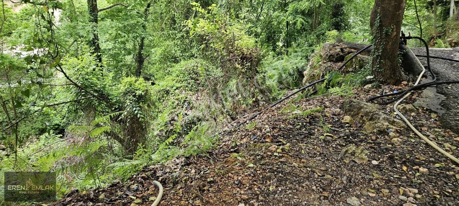 Eren Emlak'tan Oba Çay Kenarı Param Var Huzurum Yok Diyenlere... - Görsel 27