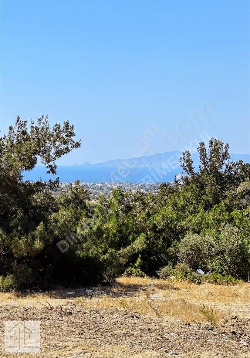 Foça Yeniköy Satılık Tarla Foça Yeniköy'de Kozbeyli Sınırı Deniz Manzaralı Mükemmel Tarla