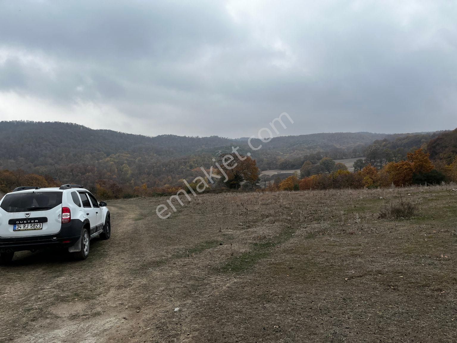 Gönen Kurtuluş Satılık Arazi Harika Arazi 8 Dönüm Hayvancılık İçin Uygun