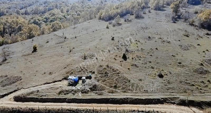 Kavak Çakallı Satılık Tarla **14.267 M2 ÇAKALLIDA FIRSAT SATILIK TARLA**