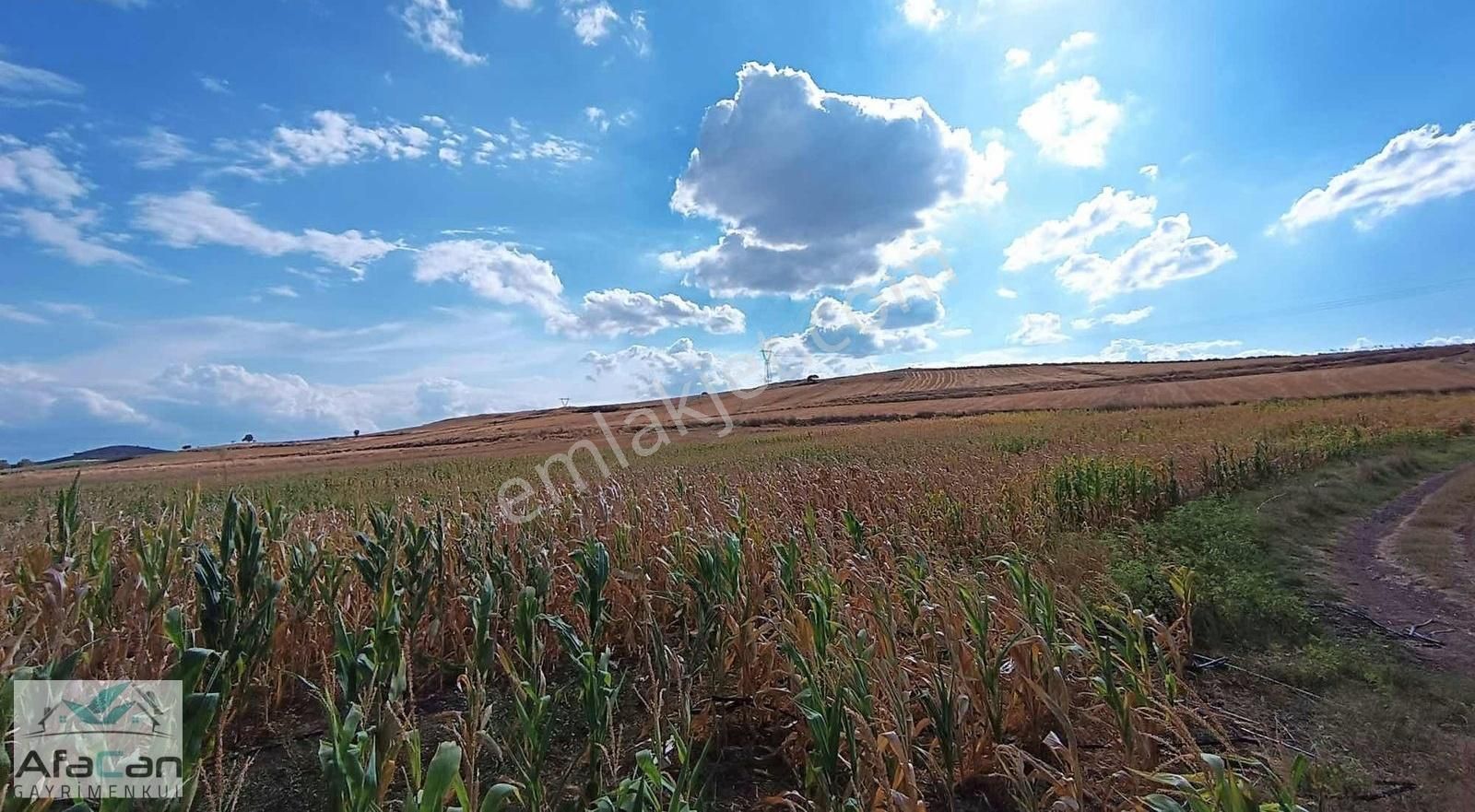 Karesi Tatlıpınar Satılık Tarla BALIKESİR KARESİ TATLIPINAR'DA KADASTROL YOLA CEPHE KÖŞE ARAZİ!!