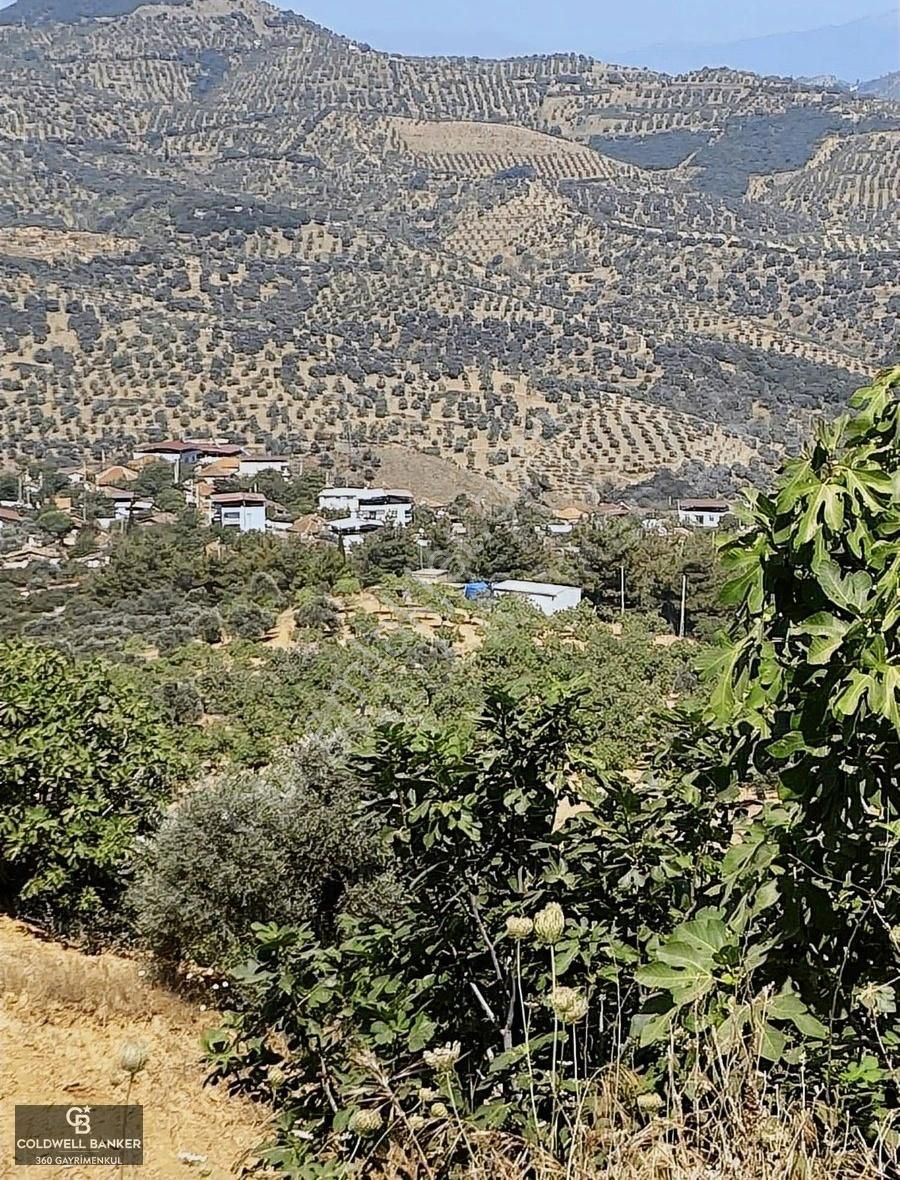 Germencik Çamköy Satılık Konut İmarlı AYDIN GERMENCİK ÇAMKÖY SATILIK FIRSAT ARSA!