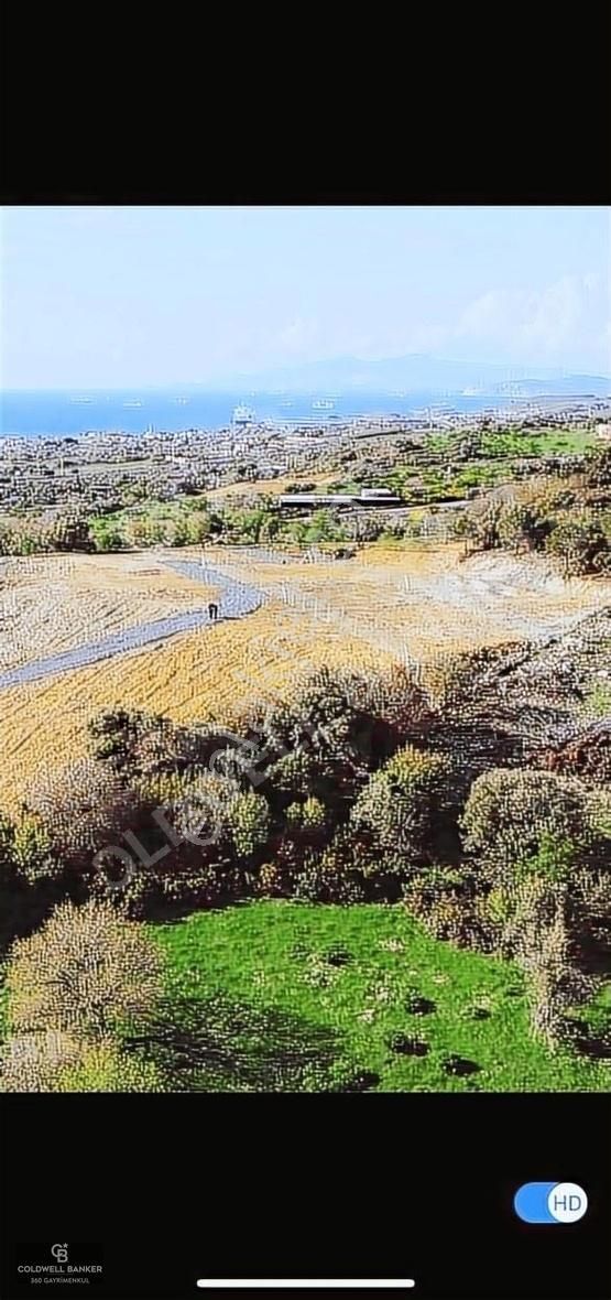 Foça Kozbeyli Satılık Tarla FOÇA KOZBEYLİ 'DE SATILIK TARLA