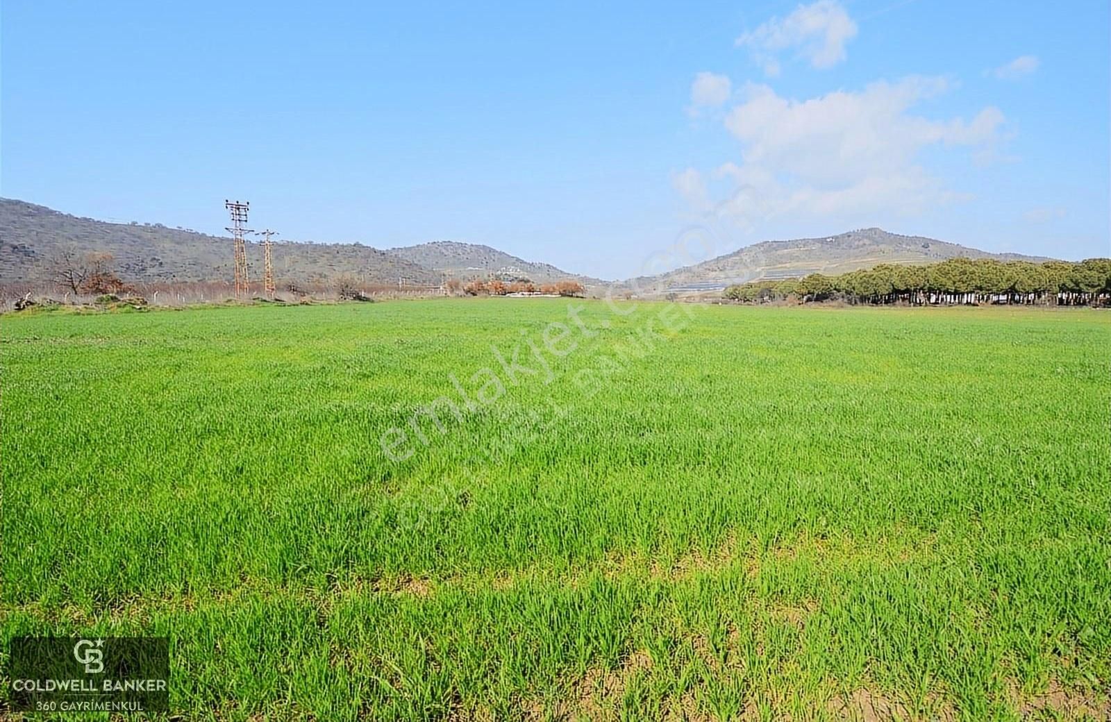 Bergama Sağancı Satılık Tarla Dikili Tarımsal OSB Yakınında Satılık ARAZİ(Seracılığı Uygun)