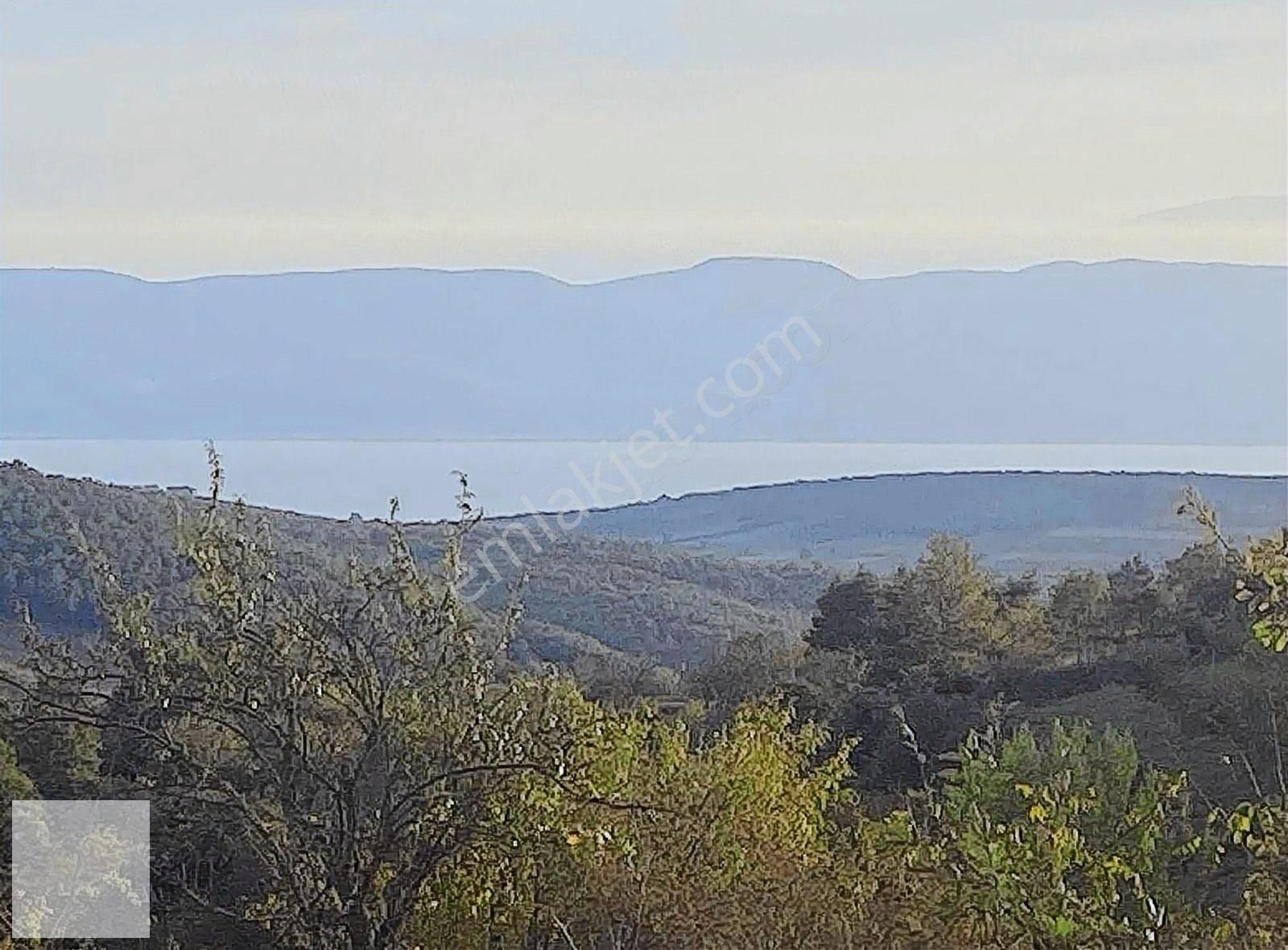 İznik Yürükler Satılık Tarla İznik Yörükler Mahallesinde İçme Suyu Olan Erik Bahçesi