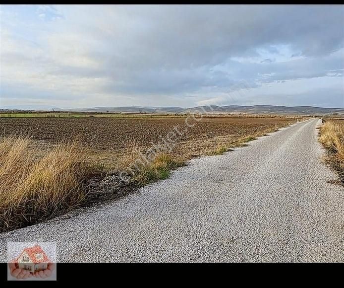 Menemen Musabey Satılık Tarla Kesikköyde Satılık Yola cepheli 500m2 arsa