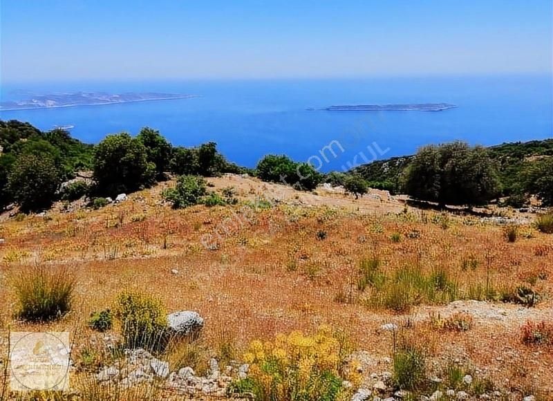 Kaş Sarıbelen Satılık Tarla ANTALYA KAŞ SARIBELENDE VİLLA YAPIMINA UYGUN SATILIK 6580M²TARLA