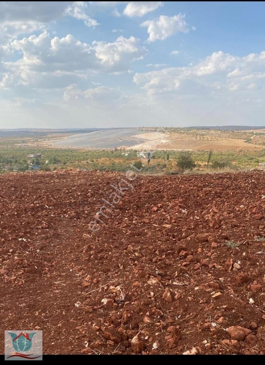 Şehitkamil Tokdemir Satılık Tarla Bilek-tokdemir Arası Zirve Konumda Tek Tapu Arazi