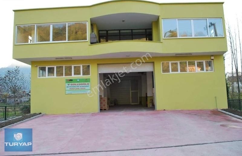 Ordu Altınordu Kiralık Bina ORDU EYÜPLÜ MAH. ORGANİZE SAN.BÖL. 4 KM MESAFEDE KİRALIK İŞYERİ