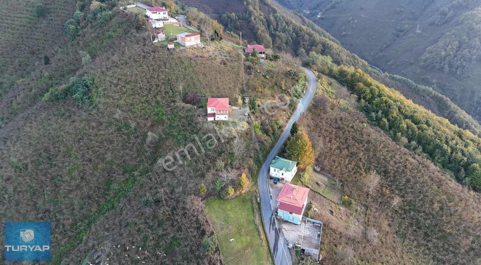 Altınordu Osmaniye Satılık Bağ & Bahçe ORDU OSMANİYE MAHALLESİ 3820 m2 SATILIK BAĞ&BAHÇE