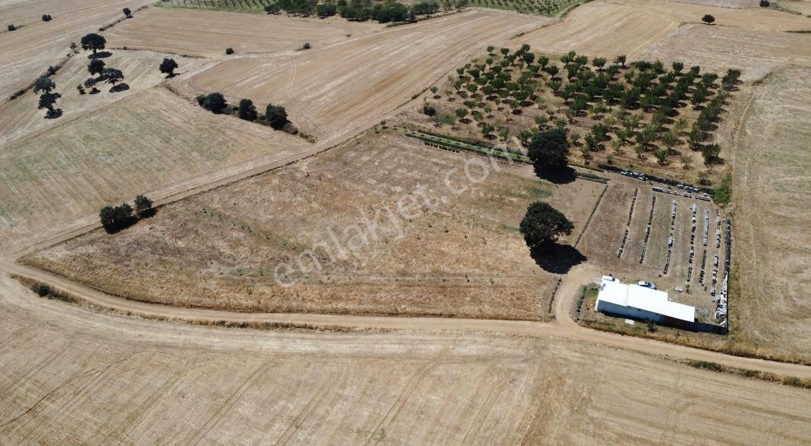 Bandırma Çakılköy Satılık Tarla Çakılköy Mahallesi'nde 13.000 m2'ye Kurulu Satılık Arı Çiftliği