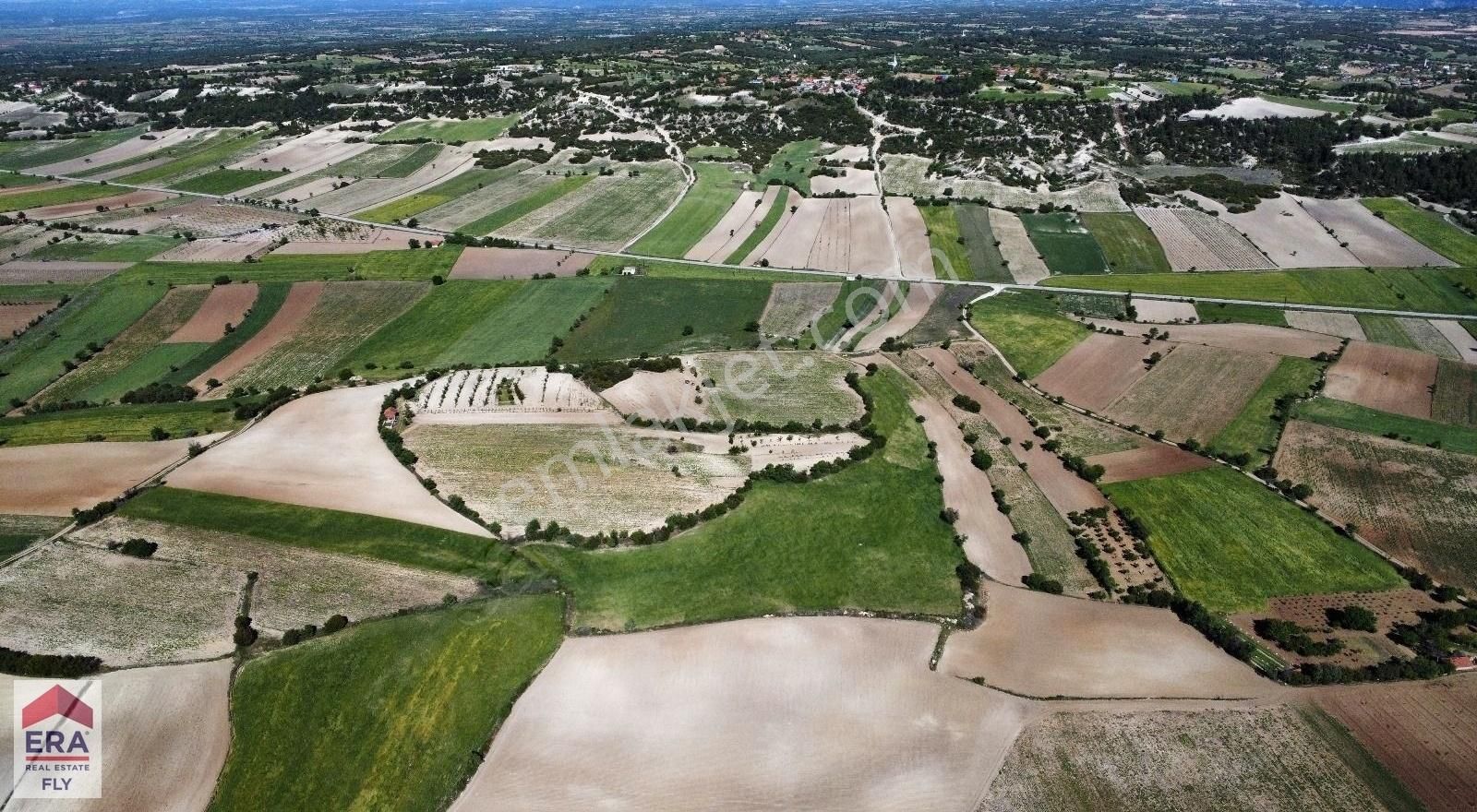 Güney Eziler Satılık Tarla ERA FLY'DAN GÜNEY EZİLER'DE SATILIK FIRSAT TARLA