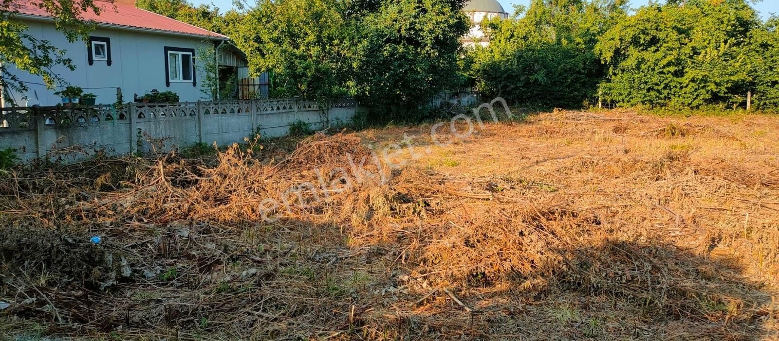 Düzce Merkez Köprübaşı Köyü Satılık Konut İmarlı DÜZCE MERKEZ KÖY İÇERİSİNDE KONUT İMARLI SATILIK ARSA