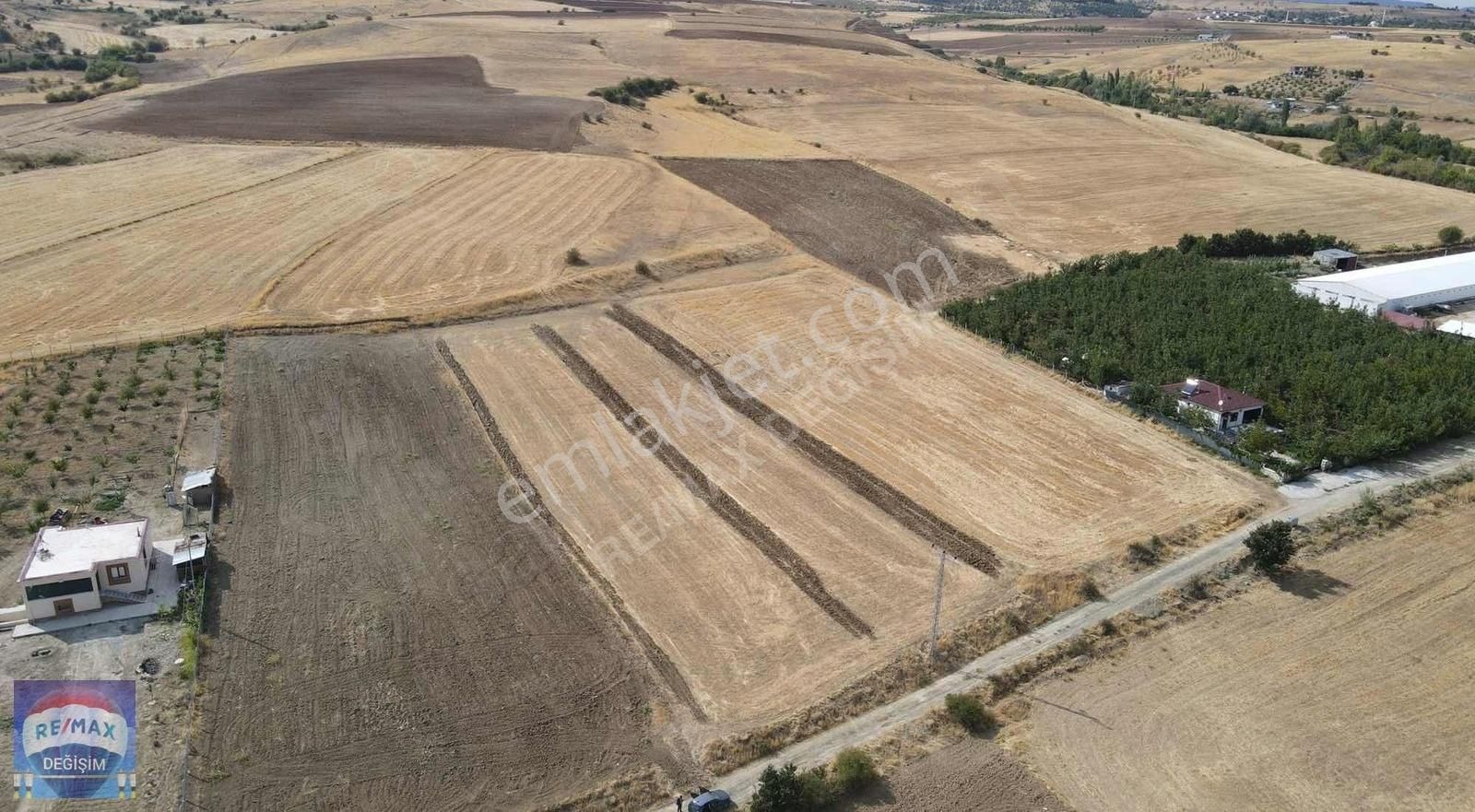 Elazığ Merkez Temürköy Köyü Satılık Tarla RE/MAX DEĞİŞİM'DEN IŞIKYOLU'NDA RESMİ YOLU OLAN SATILIK TARLA