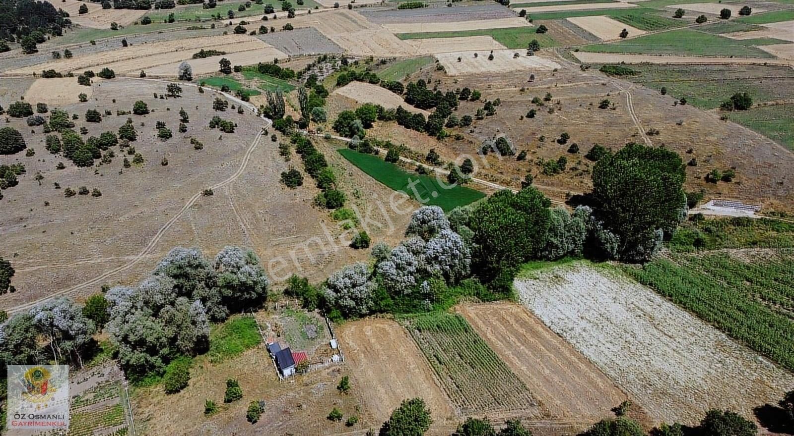 Bilecik Merkez Şükraniye Köyü Satılık Tarla 1080 M2 Düz Yatırımlık Kaçırılmayacak Arazi