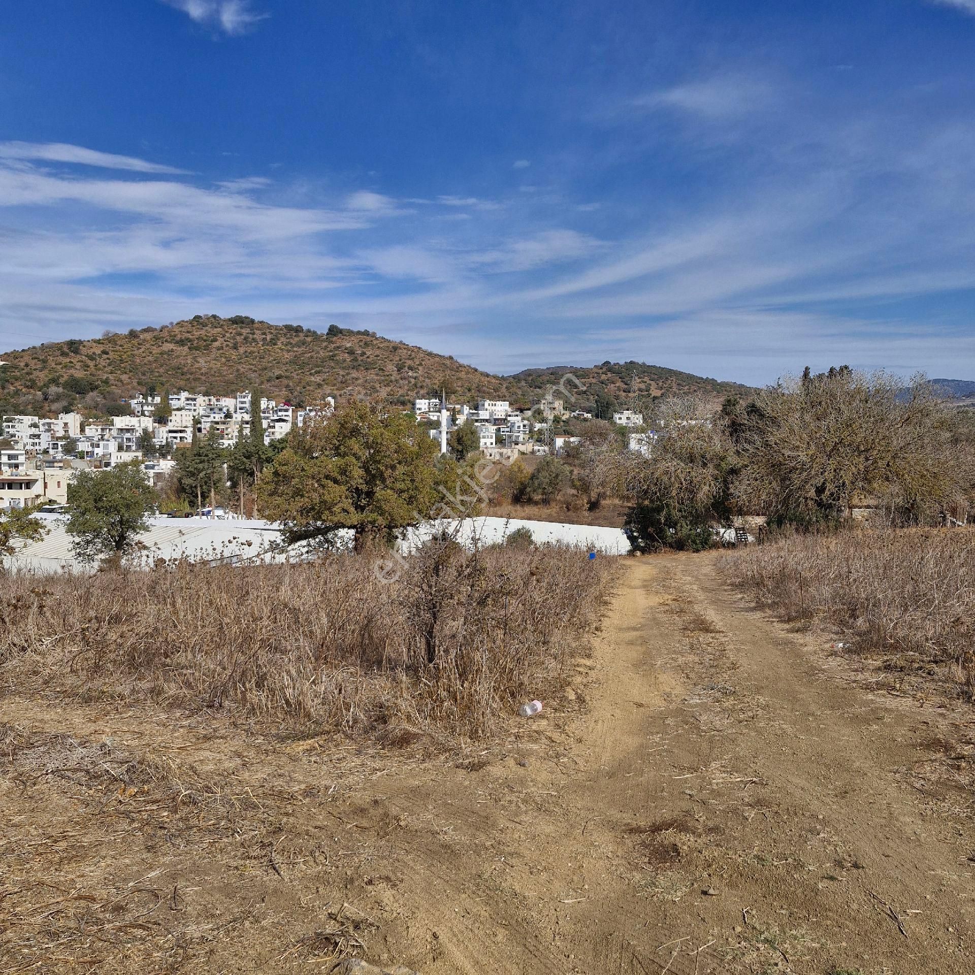 Bodrum İslamhaneleri Satılık Tarla İslamhaneler De Sayılık Kooretif Hiseli