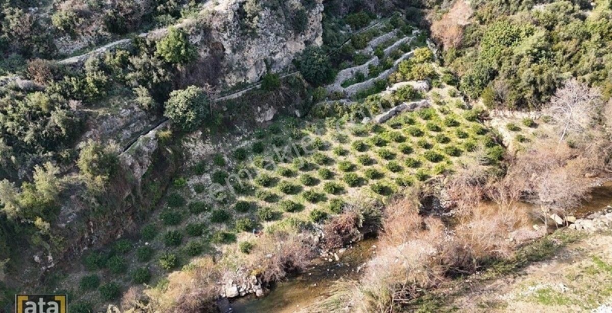 Yenişehir Çavak Satılık Bağ & Bahçe YENİŞEHİR ÇAVAKTA 4.176M2 KAFE RESTORANT OLMAYA UYGUN SATILIK TARLA