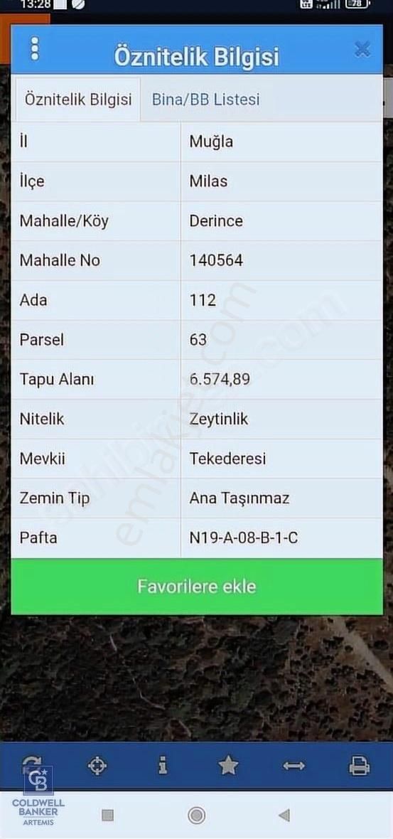 Milas Derince Satılık Zeytinlik MİLAS DERİNCE'DE SATILIK ZEYTİNLİK