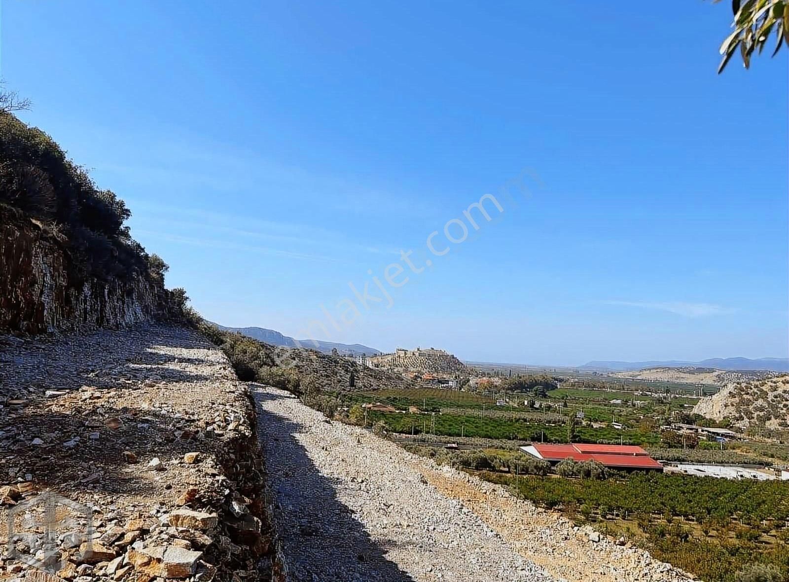 İzmir Selçuk Sirince 6.100m2 Zeytinlik Merkeze 1 Km Mesafede - Görsel 17