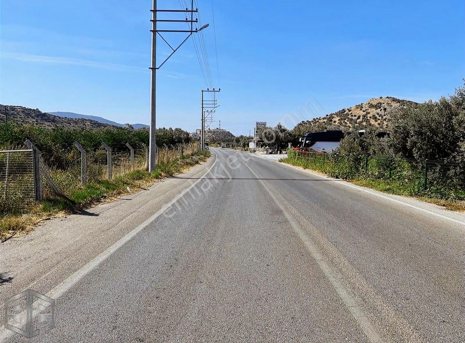 İzmir Selçuk Sirince 6.100m2 Zeytinlik Merkeze 1 Km Mesafede - Görsel 4