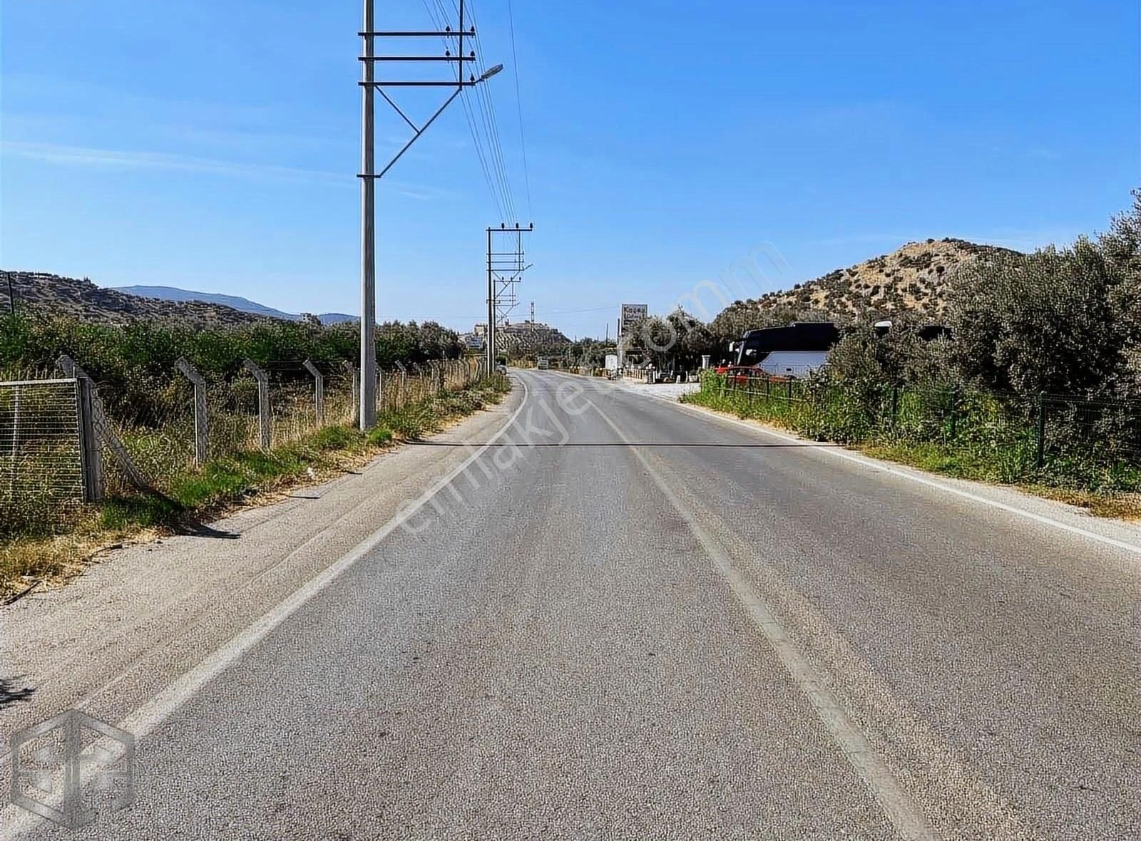İzmir Selçuk Sirince 6.100m2 Zeytinlik Merkeze 1 Km Mesafede - Görsel 5