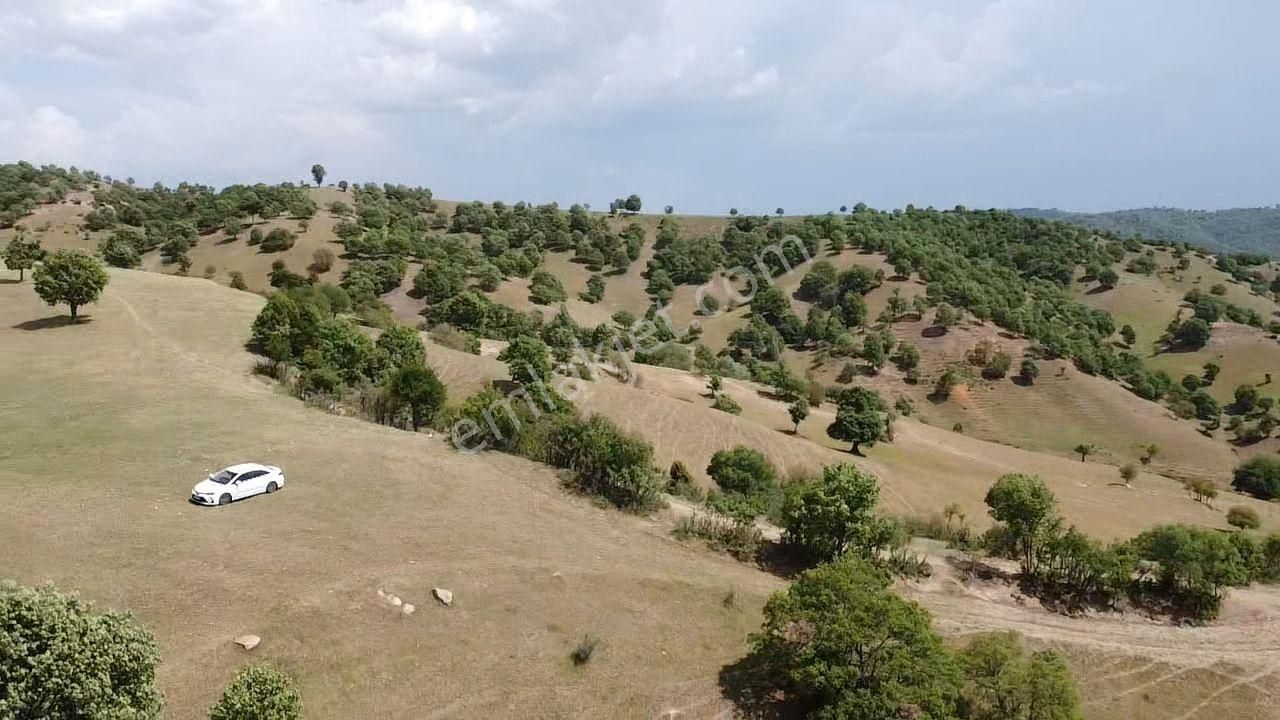 Simav Söğüt Köyü Satılık Tarla  GÜNEŞ ENERJİSİNE UYGUN ONAYLARI ALINMIŞ 58.805 M2 YOLA CEPHE