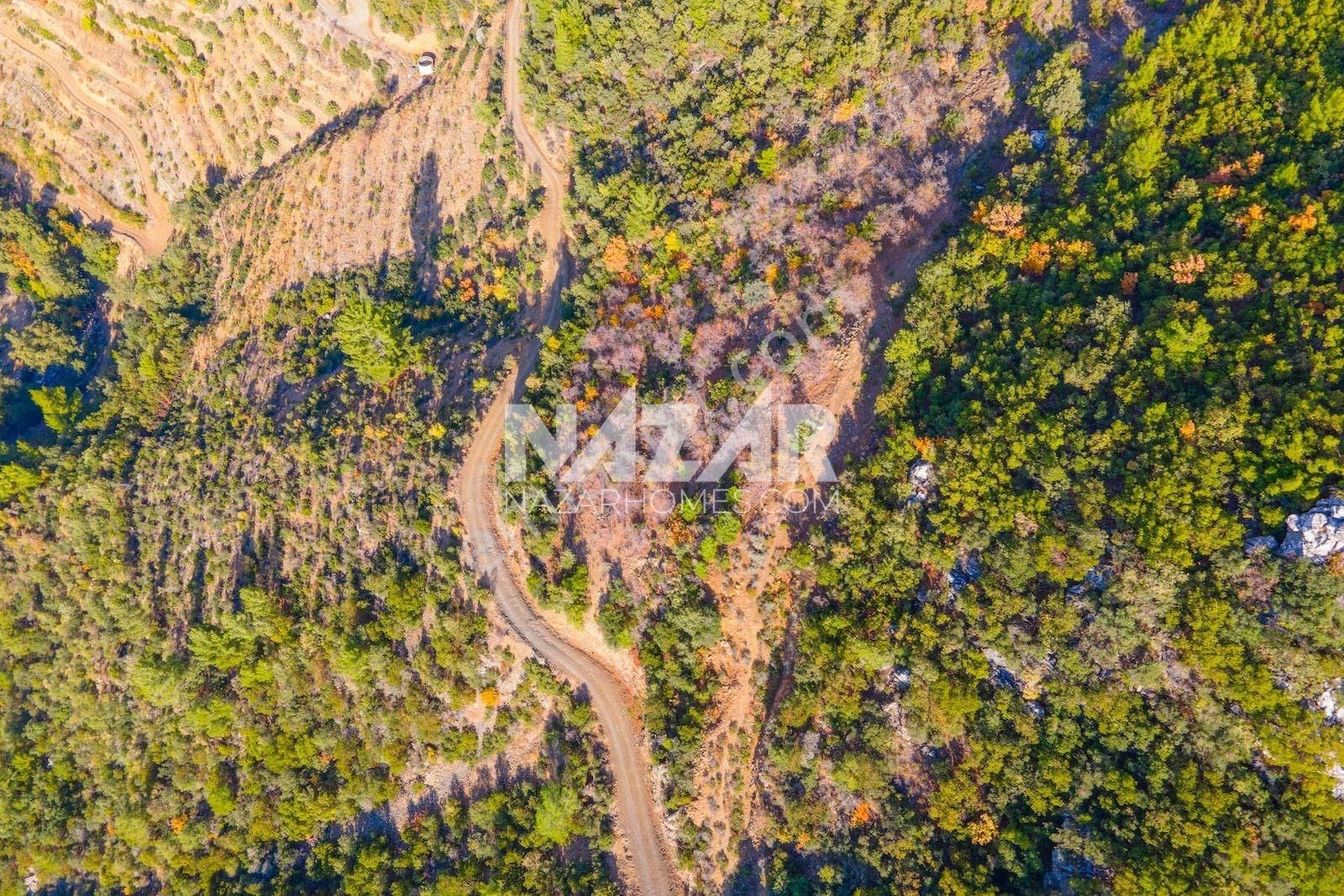 Gazipaşa Doğanca Köyü’nde Satılık 8.552 M² Tarla - Görsel 7