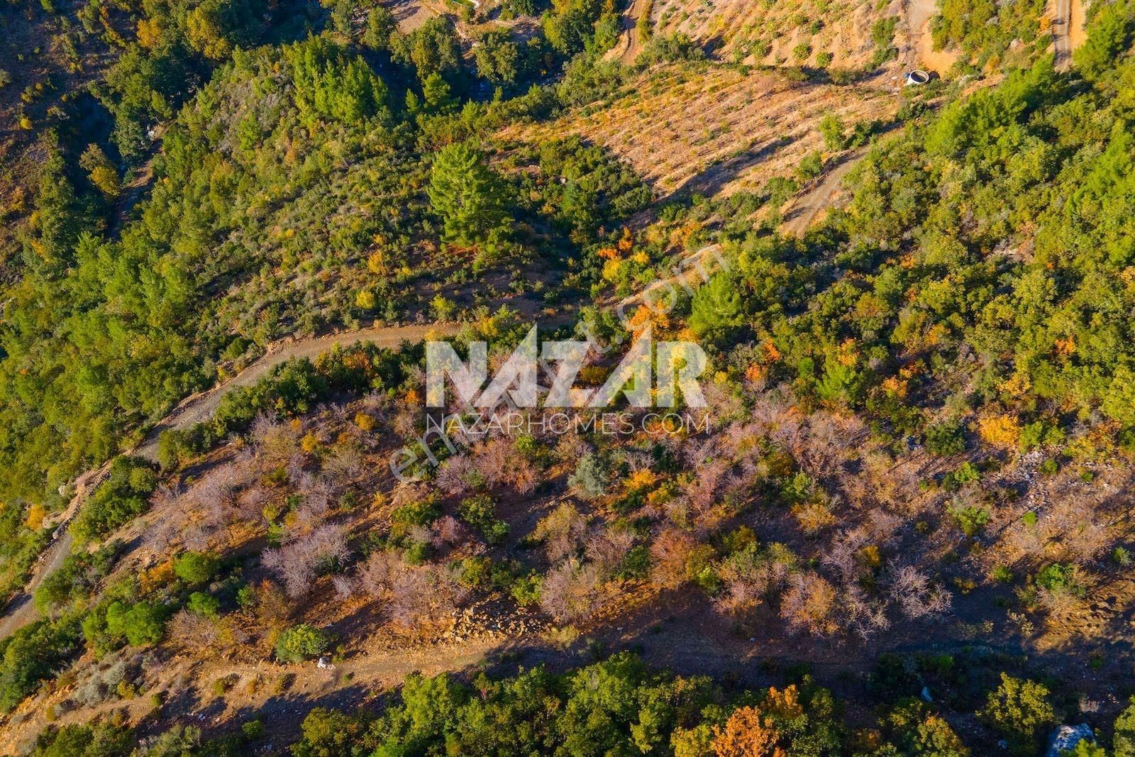 Gazipaşa Doğanca Köyü’nde Satılık 8.552 M² Tarla - Görsel 21