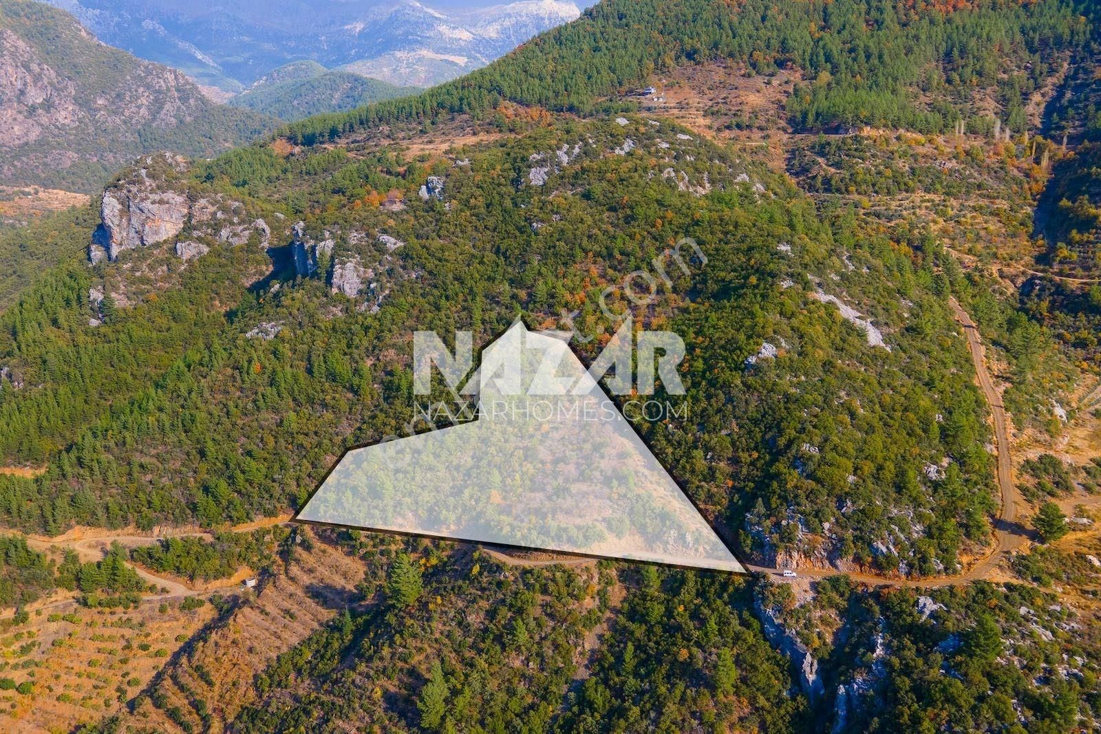 Gazipaşa Doğanca Köyü’nde Satılık 8.552 M² Tarla - Görsel 3