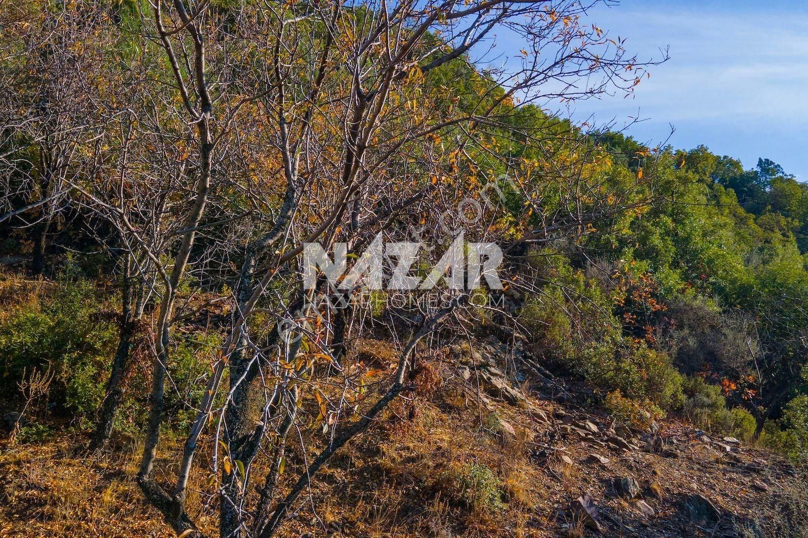 Gazipaşa Doğanca Köyü’nde Satılık 8.552 M² Tarla - Görsel 32