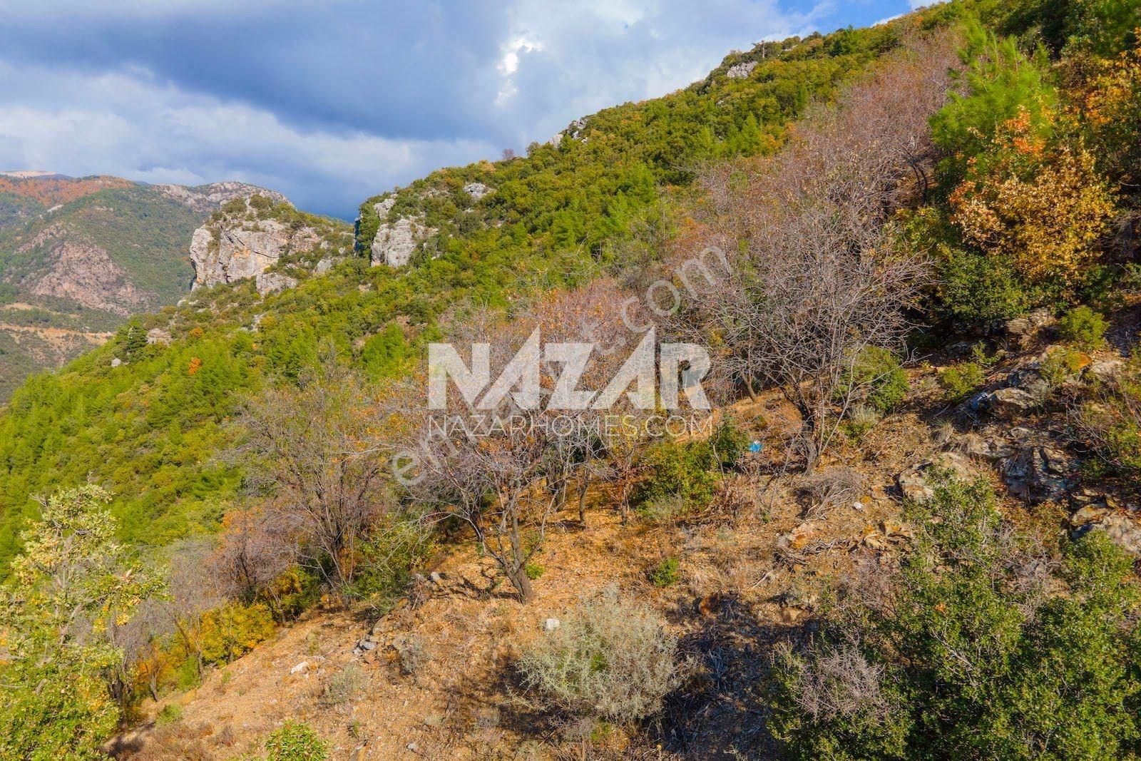 Gazipaşa Doğanca Köyü’nde Satılık 8.552 M² Tarla - Görsel 35