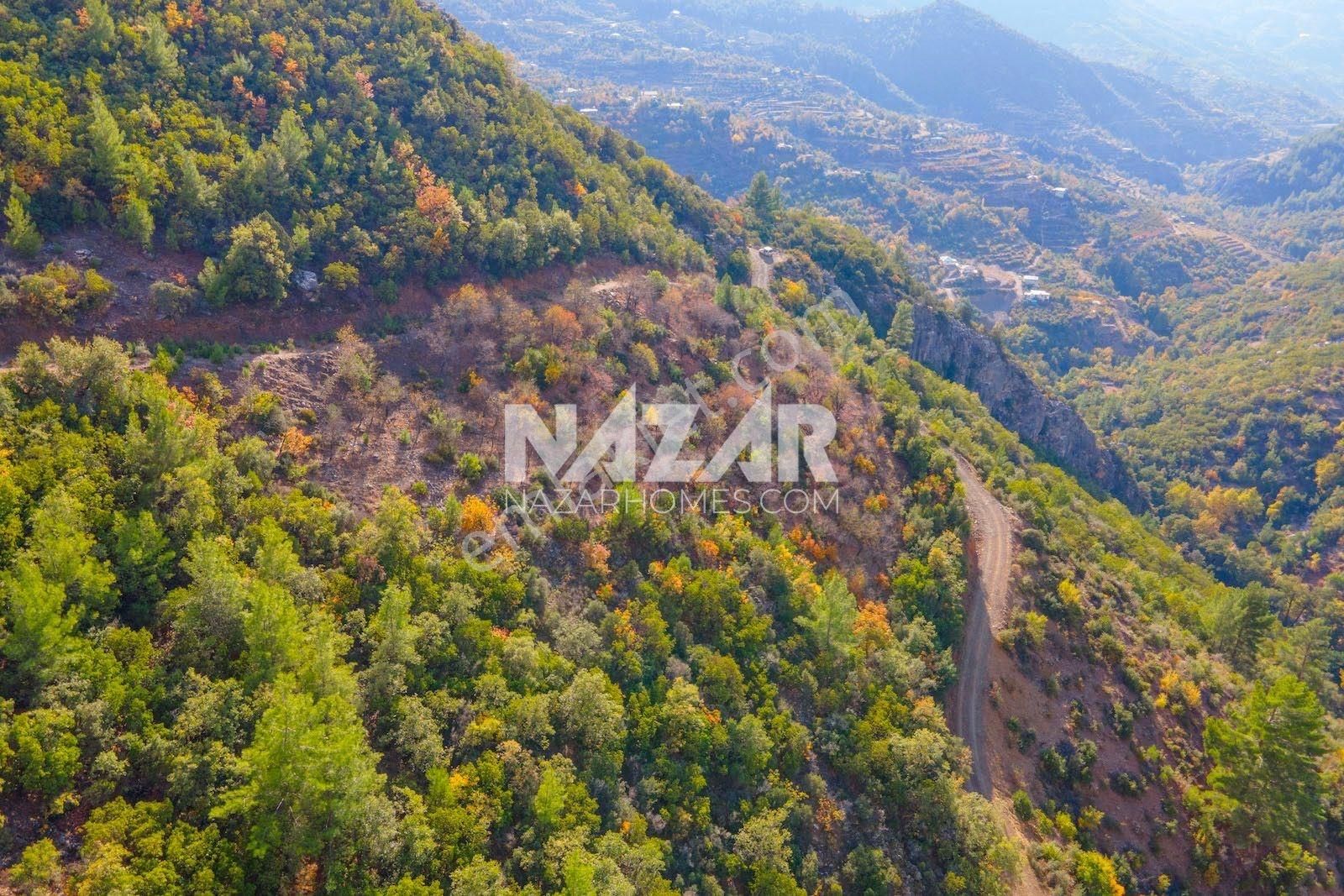 Gazipaşa Doğanca Köyü’nde Satılık 8.552 M² Tarla