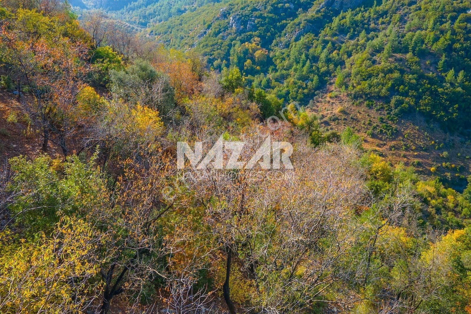 Gazipaşa Doğanca Köyü’nde Satılık 8.552 M² Tarla - Görsel 19