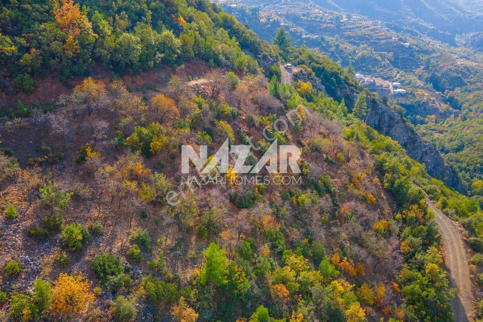 Gazipaşa Doğanca Köyü’nde Satılık 8.552 M² Tarla - Görsel 9