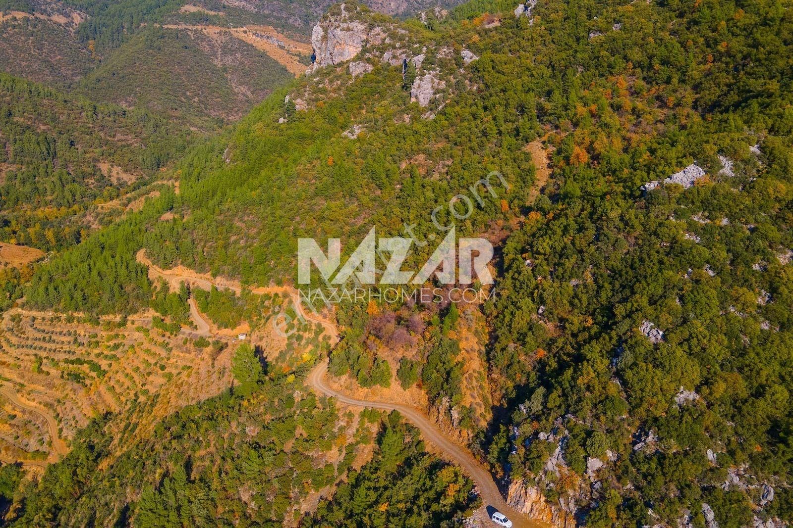 Gazipaşa Doğanca Köyü’nde Satılık 8.552 M² Tarla - Görsel 22