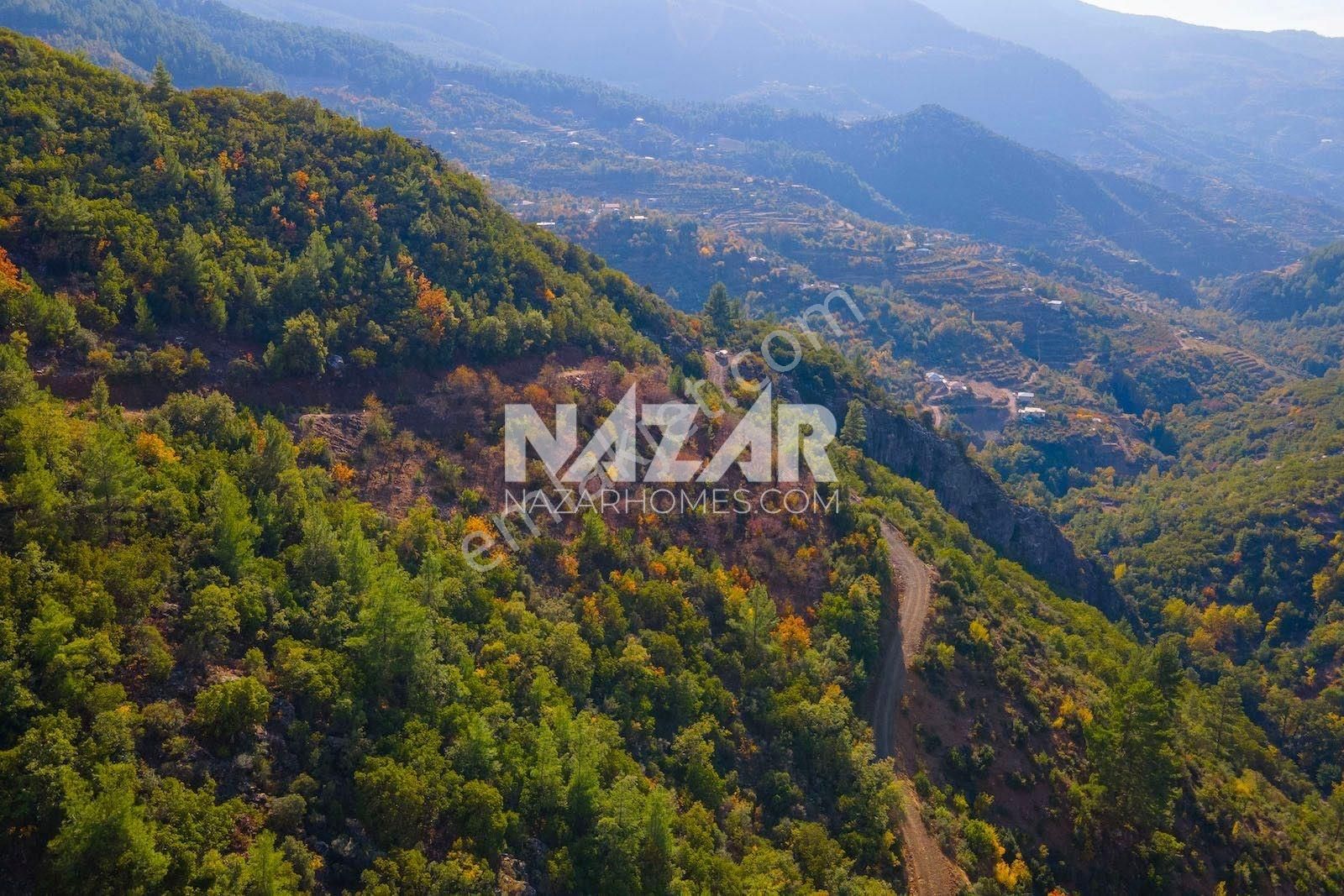 Gazipaşa Doğanca Köyü’nde Satılık 8.552 M² Tarla - Görsel 24